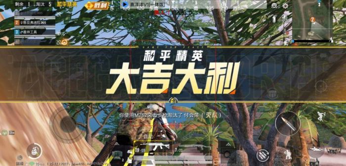 和平精英白体免root内透 - 快速部署型透视辅助